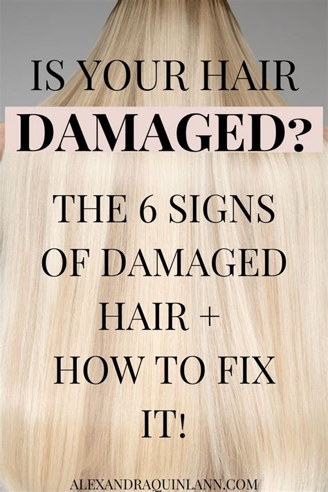 The 6 Signs Of Damaged Hair How To Fix It Damaged Hair Repair