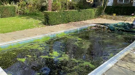 Draining And Cleaning A Dirty Swimming Pool In Cobham Surrey How To