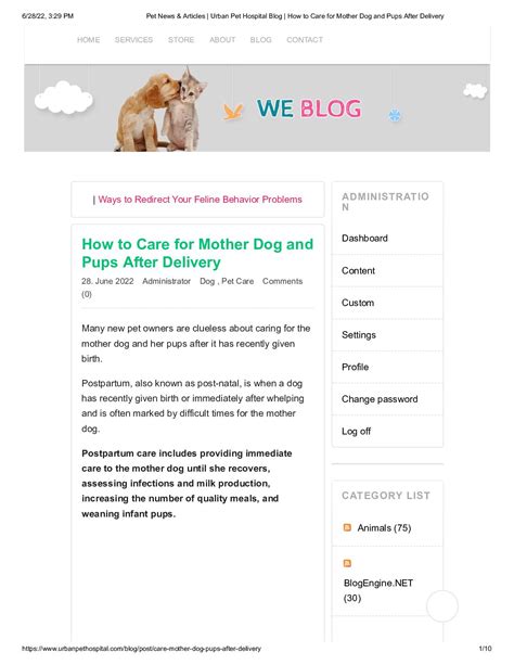 Calaméo Pet News And Articles Urban Pet Hospital Blog How To Care For