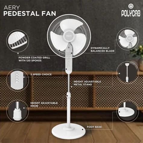 Polycab Aery 400mm Pedestal Fan At Rs 1800piece Stand Fan In
