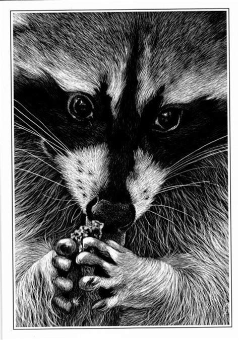 See more ideas about dog art, animal drawings, dog drawing. Pin on art