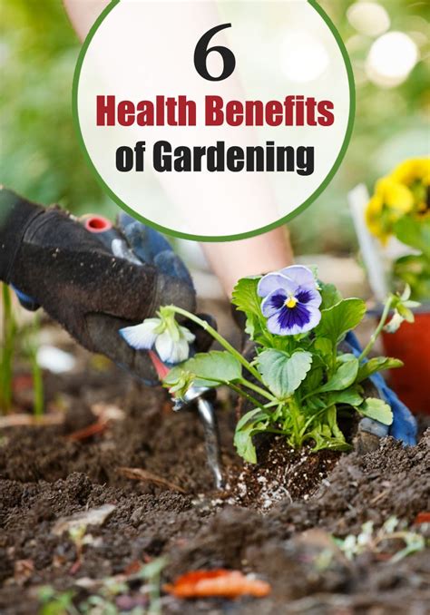 6 Amazing Health Benefits Of Gardening Benefits Of Gardening Healthy
