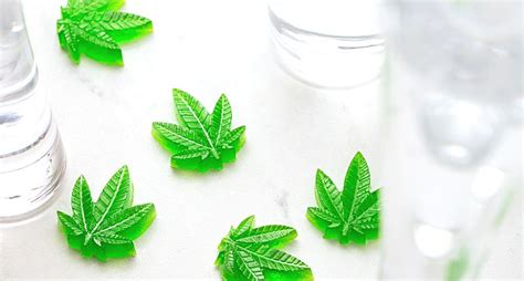 cbd gummies for sex the ultimate guide to improved sexual performance