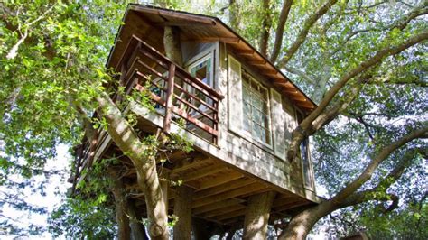 This Playful Airbnb Treehouse Near San Francisco Lets You Sleep In A