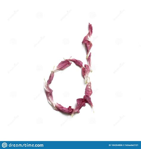 Alphabet Made Of Peony Petals Letter D Layout For Design Stock Photo