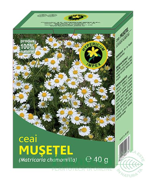 Ceai Musetel 40g Hypericum Plant Pret 8 2 Lei Planteea