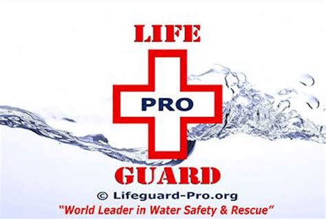 Maybe you would like to learn more about one of these? The 5 Best Lifeguard Certification Programs of 2020