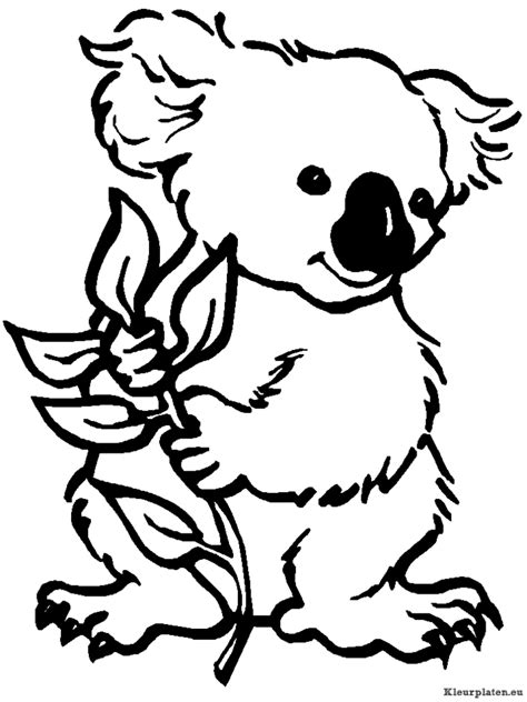Koala Beertjes Kleurplaten Kleurplaten.eu