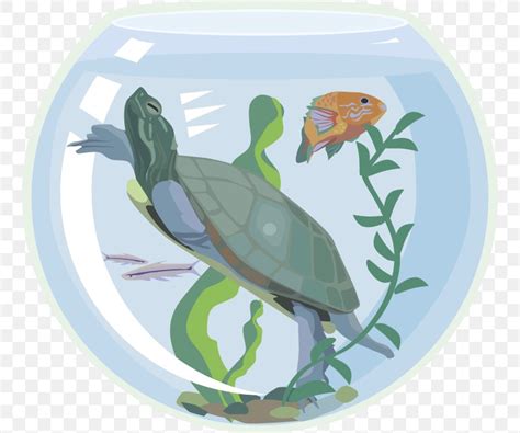 Free Turtle Tank Cliparts Download Free Turtle Tank Cliparts Png