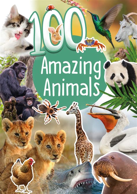 100 Amazing Animals