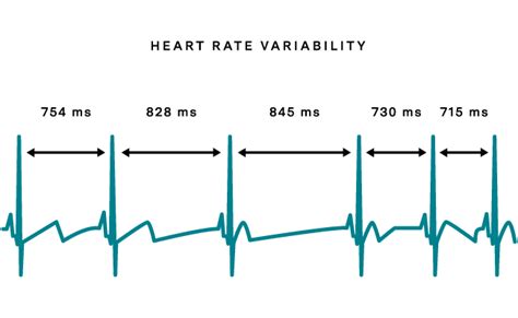 What Is Hrv Healthy Heart Rate Variability And How To Track It