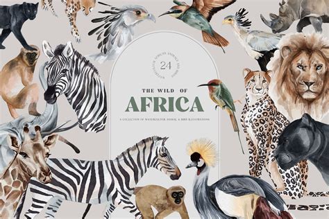 Illustrations Clipart Wild Animals Of Africa Illustrations Png