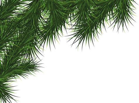 Christmas tree png images of 19. Fir Tree PNG Image - PurePNG | Free transparent CC0 PNG Image Library