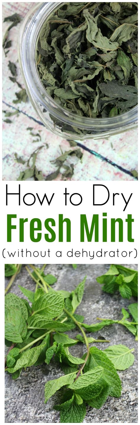 How To Dry Fresh Mint Leaves