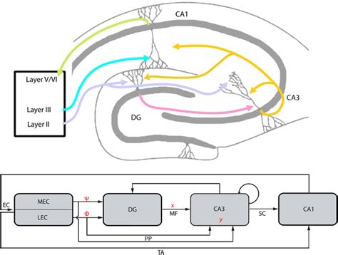 Frontiers A Compressed Sensing Perspective Of Hippocampal Function