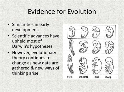 Ppt Ch 15 Darwins Theory Of Evolution Powerpoint Presentation Id