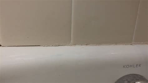 If you can't get the tile grout in your shower clean, replacing the grout. Accidentally removed grout behind bathtub caulk, necessary ...