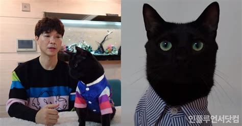 We did not find results for: 박수홍 고양이 다홍이 - ì§'ì‚¬ì ´ì•¼ê¸° ë‹¤í™ ì ...