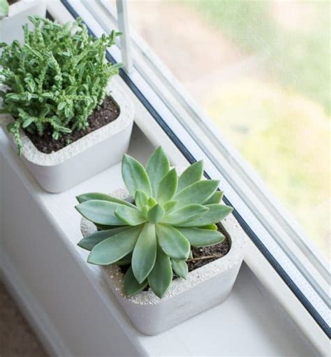 I made these concrete planters many years ago, and have since made many more for gifts and to decorate my home garden. 24 DIY Succulent Planter Ideas for Your Home or Patio