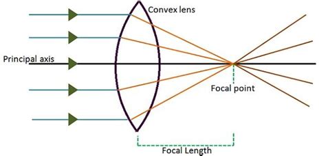 difference between convex and concave lens with figure example and comparison chart key