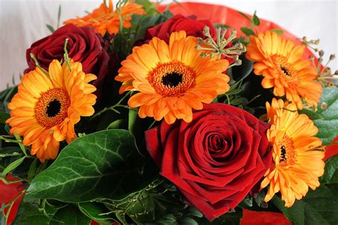 Gigantesco mazzi di fiori / mazzi di fiori belli 114 | confezioni floreali, mazzo di. Mazzi di Fiori Più Belli per la Festa della Mamma Domenica ...