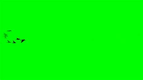 GREEN VIDEO EFFECT 22 YouTube