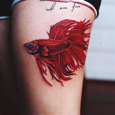 Https://tommynaija.com/tattoo/female Betta Fish Tattoo Designs