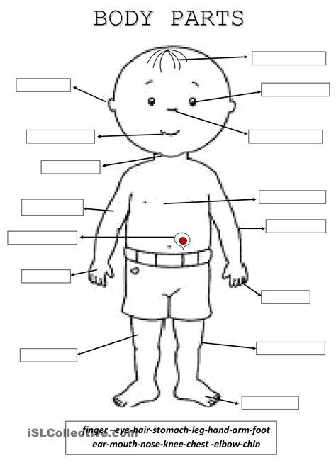 Human Body Parts Printable Worksheets Learning How To Read