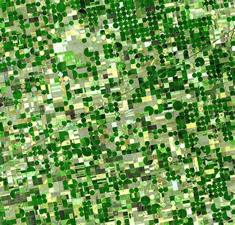 Agricultural Patterns From Space