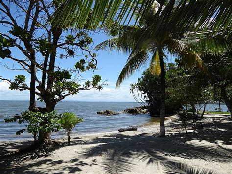Come see for yourself and you'll understand just how much there is to do in guatemala, and why it left such a profound mark on my memory. strand, caribbean, Guatemala, zee, palmen | Pikist