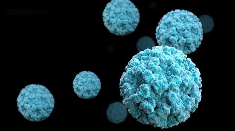 Norovirus can survive for weeks on surfaces and objects, such as countertops, doorknobs, phones, and furniture. Blutgruppe bestimmt das Risiko einer Norovirus-Infektion ...