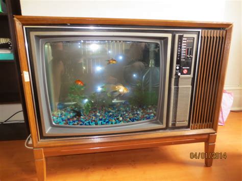 Diy terrarium from old fish tank got an old fish aquarium to create a stunning diy terrarium. 15 Cool DIY Fish Tank Ideas With Tutorials - Home And ...