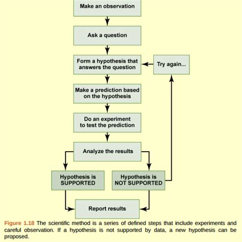 It is a logbook that allows the researchers to trace how a result came to be. Solved: Figure 1.18 In the example below, the scientific method... | Chegg.com
