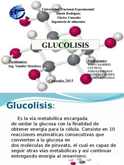 Bioquimica Exposicion Glucolisis Glucólisis Ácido Láctico