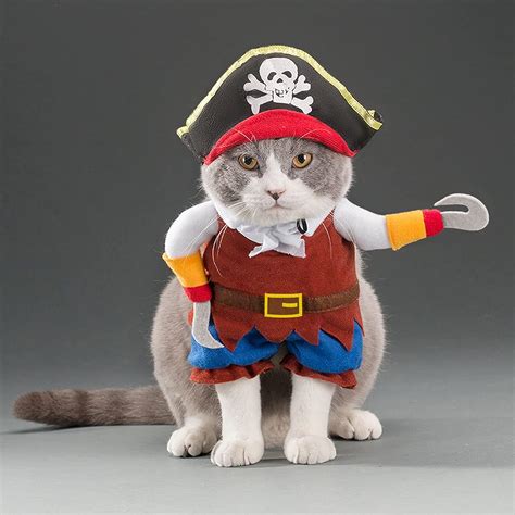 Funny Cat Pirate Costume Caribbean Halloween Dressing Up