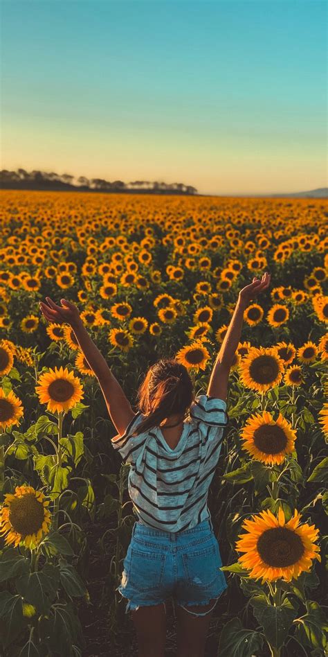 Sunny day sunflowers farm woman 1080x2160 wallpaper Фотографии