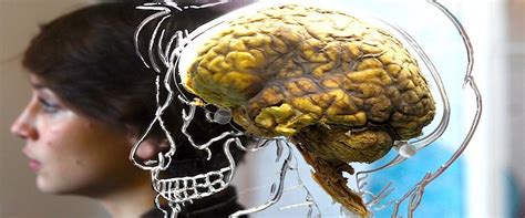 People have discovered that system administrators have unfettered access to all the most private information being passed through their systems, he said. Catching the Brain in a Lie: Is "Mind Reading" Deception ...