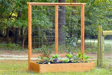 Building a raised planting bed of wood, stone, or brick is easier than you think, and can make your garden more fruitful as well as more attractive. Best Ideas for Low-Cost Food Crops | Vegetable garden raised beds, Raised bed garden layout ...