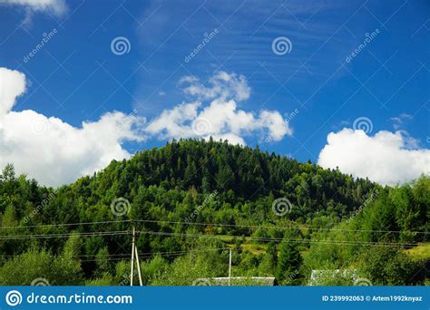Green Mountain Small Geological Object With Pine Forest In Clear