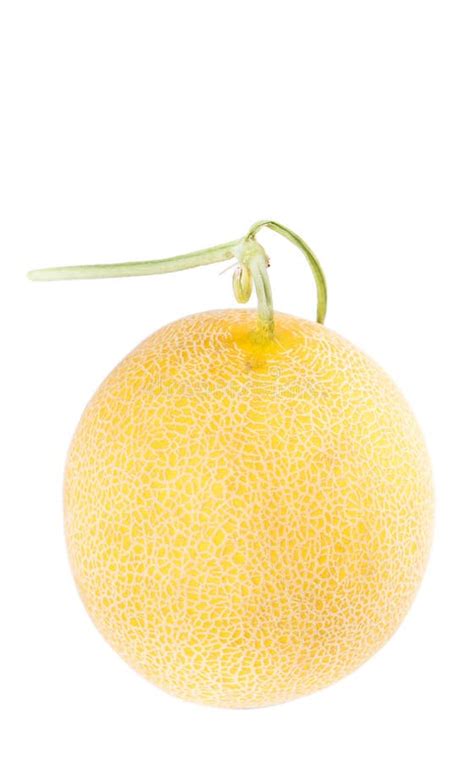 Melon Fruit Isolated On White Stock Image Image Of Galia Natural