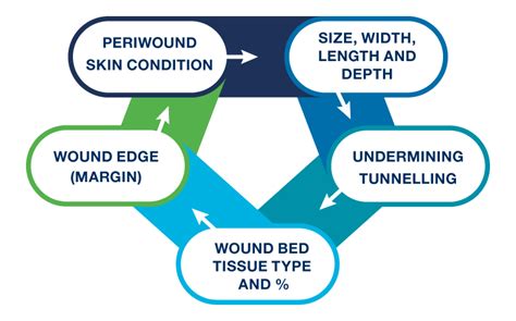 Wound Assessment Simplified Activheal Academy