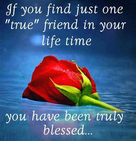 If You Find Just One True Friend In Your Lifetime You Are Truly Blessed