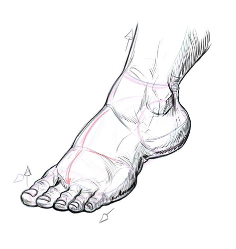 How To Draw Feet Human Anatomy Drawing Human Figure Drawing Anatomy