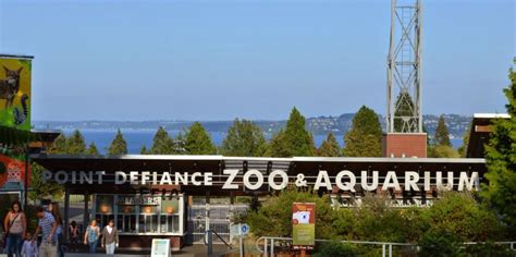 Point Defiance Zoo And Aquarium Satchell Engineering And Associates Inc