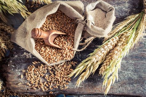 Why You Should Include Whole Grains In Your Diet American Institute