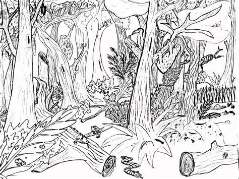 Gambar Mewarnai Pemandangan Hutan