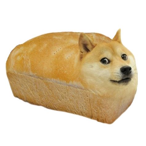 Memes about doge and related topics. "Doge Meme - Loaf of Doge" Stickers by Memesense | Redbubble
