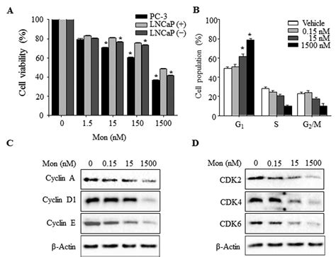 monensin induces pc 3 prostate cancer cell apoptosis via ros production and ca2 homeostasis