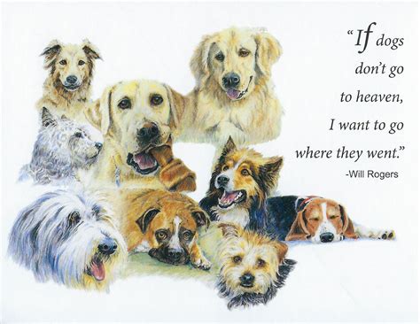 Veterinary Wisdom® S73 Dog Sympathy Card
