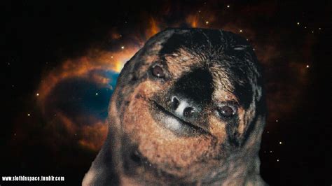 A Satisfied Sloth In Space Sloths